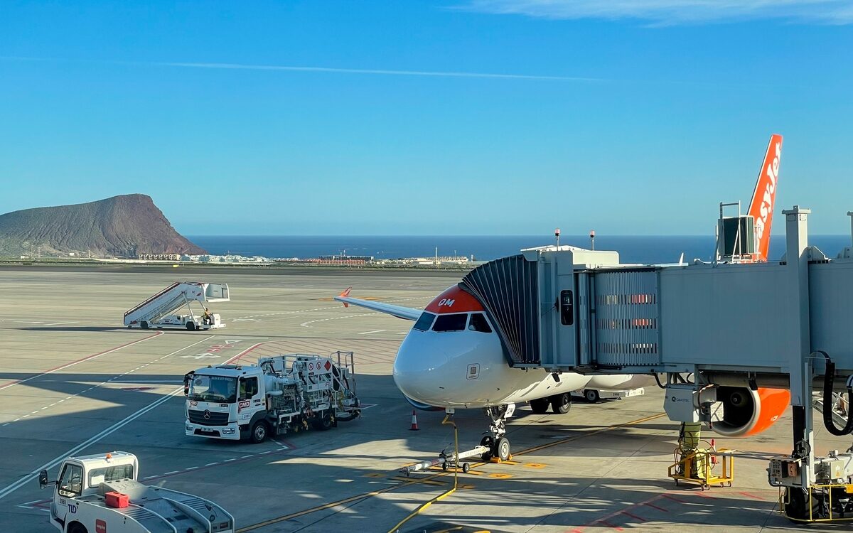 12 drunk yobs turn Gatwick to Tenerife easyJet flight into four and a half hour nightmare