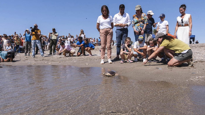 Turtles return to the sea in Mojácar