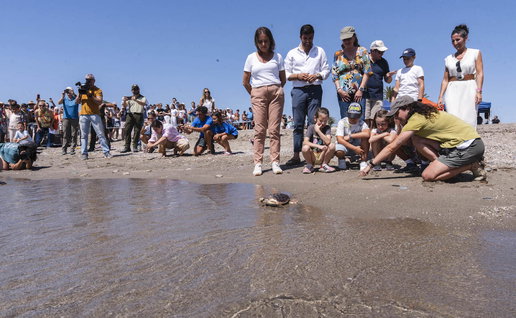 Turtles return to the sea in Mojácar