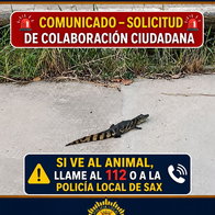 Costa Blanca councils issue summer safety advice and launch community initiatives