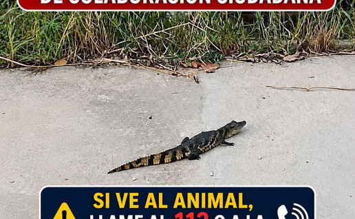 Costa Blanca councils issue summer safety advice and launch community initiatives