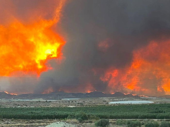 BRITISH WOMAN 93 DIES WILDFIRE