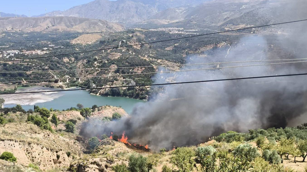 Albox scouts return safely after wildfire camp evacuation