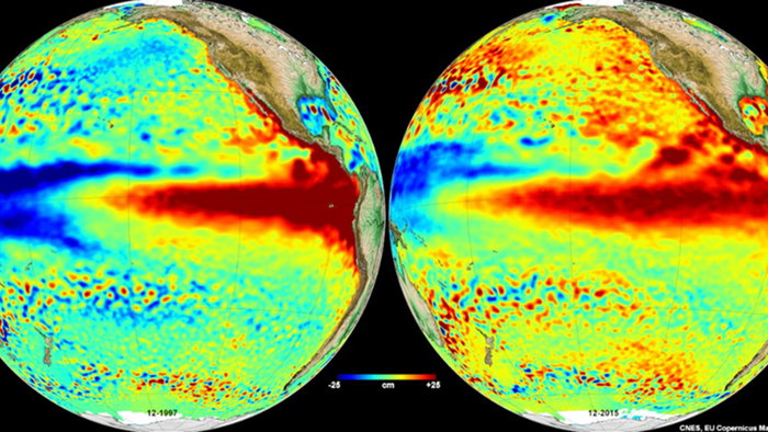 Side by side satellite maps compare Pacific Ocean conditions during the strong El Niño events of 1997 and 2015.
