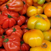 heirloom tomatoes