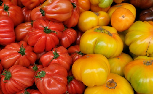 heirloom tomatoes