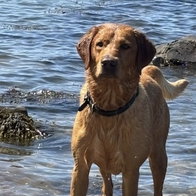 Seve adores the sea