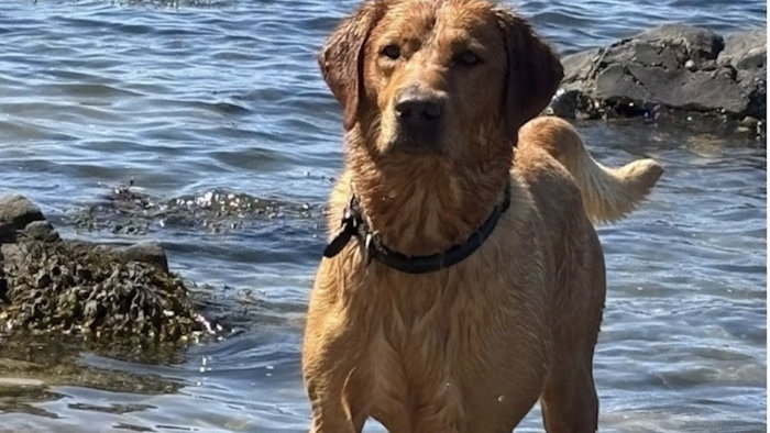 Seve adores the sea