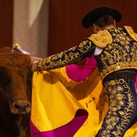 Bullfighting debate back in national spotlight