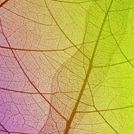 Nature and art