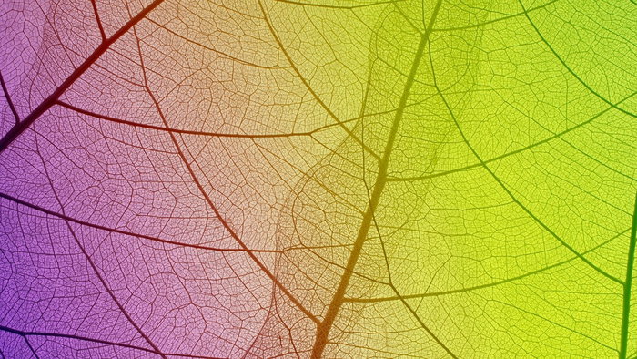 Nature and art