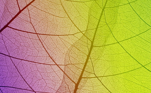 Nature and art