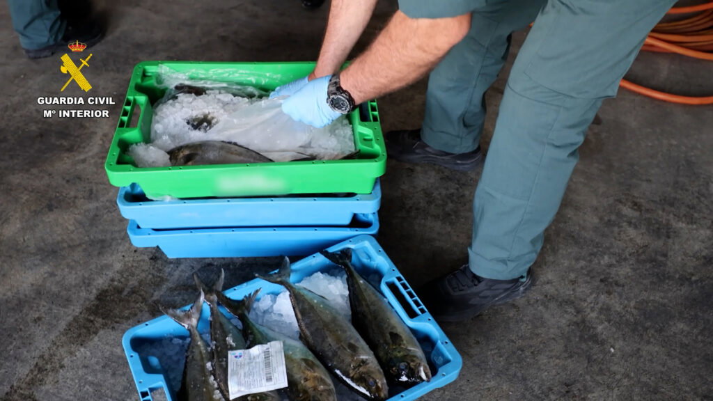 227kg of stolen fish with drug residues stopped seconds away from public sale in Spain