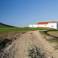 Shared access path on a rural property in Spain.