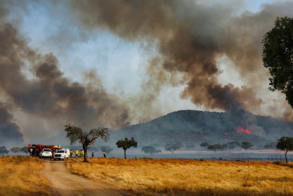 Spain’s wildfire danger hotspots revealed in latest AEMET fire risk map
