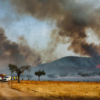 Firemen working against a forest fire