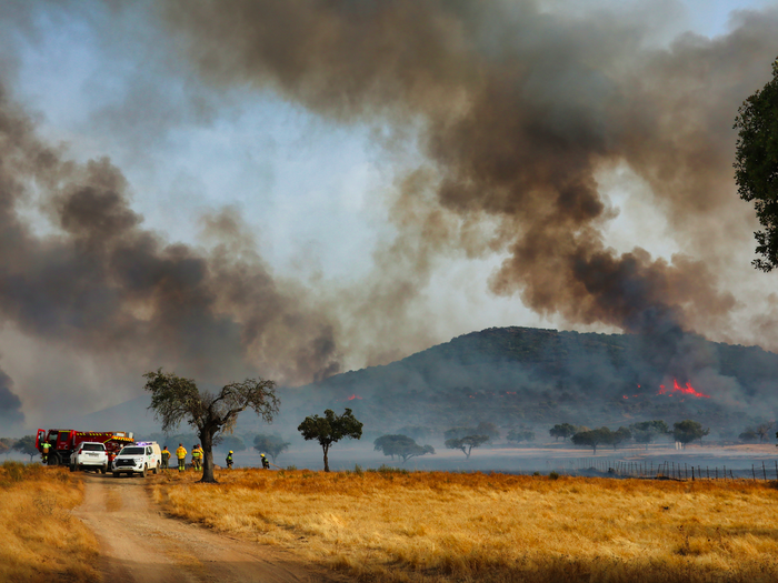 Firemen working against a forest fire