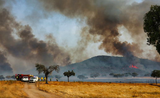 Firemen working against a forest fire