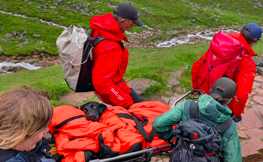 A black labrador being carried down by a rescue team from Ben Nevis