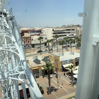 The ferris wheel.