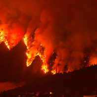 Forest fire burning through a forest of a night