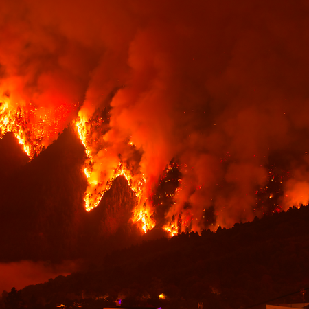 Forest fire burning through a forest of a night