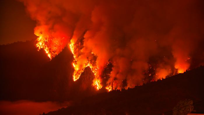Forest fire burning through a forest of a night
