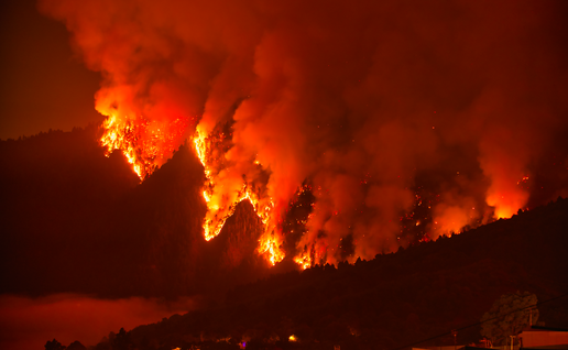 Forest fire burning through a forest of a night
