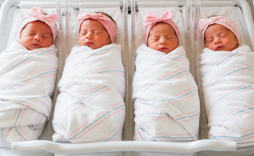 Newborn quadruplets in a hospital