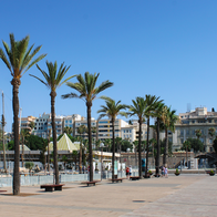 Palm trees along the port in Cartagena, Murcia