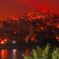 A wildfire sweeping through a hill burning trees