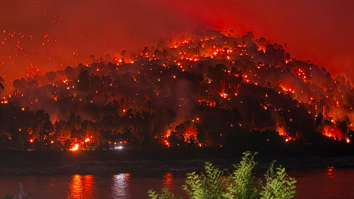 A wildfire sweeping through a hill burning trees
