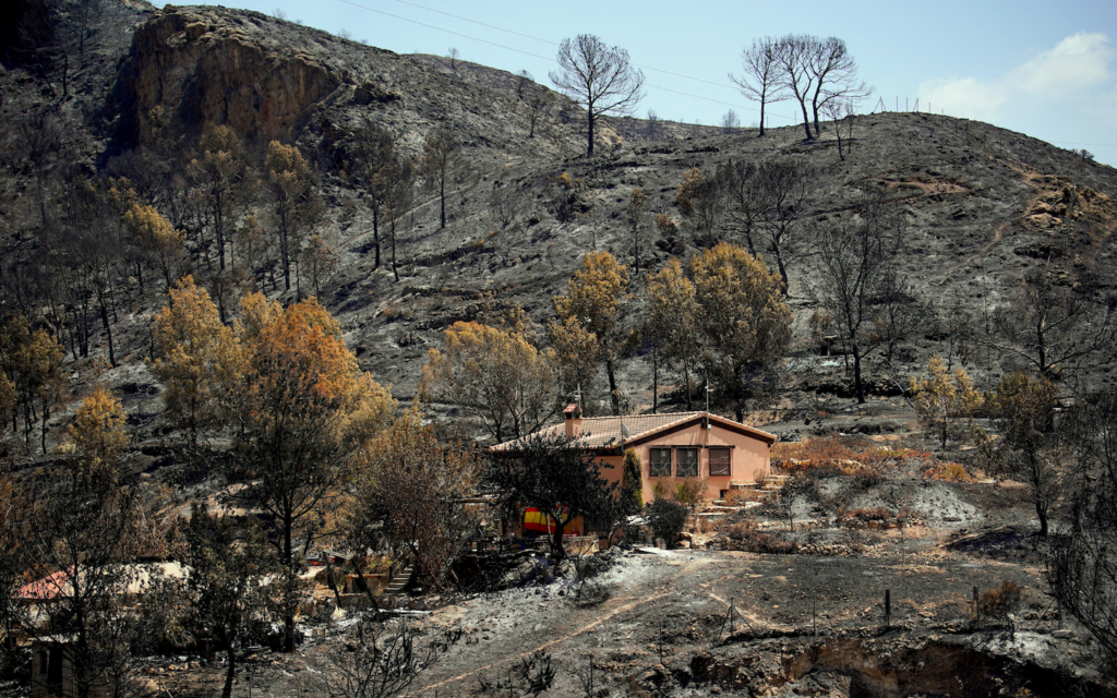 How low can you go? Reports of looting spark outrage in Spain’s wildfire zones