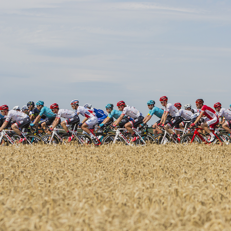 Tour de France cyclists riding through fields.