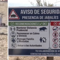 New signs on Manilva beaches warning of wild boars.