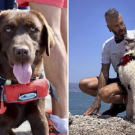 Lifesavers Nancy, handler Miguel and Milo the poodle.