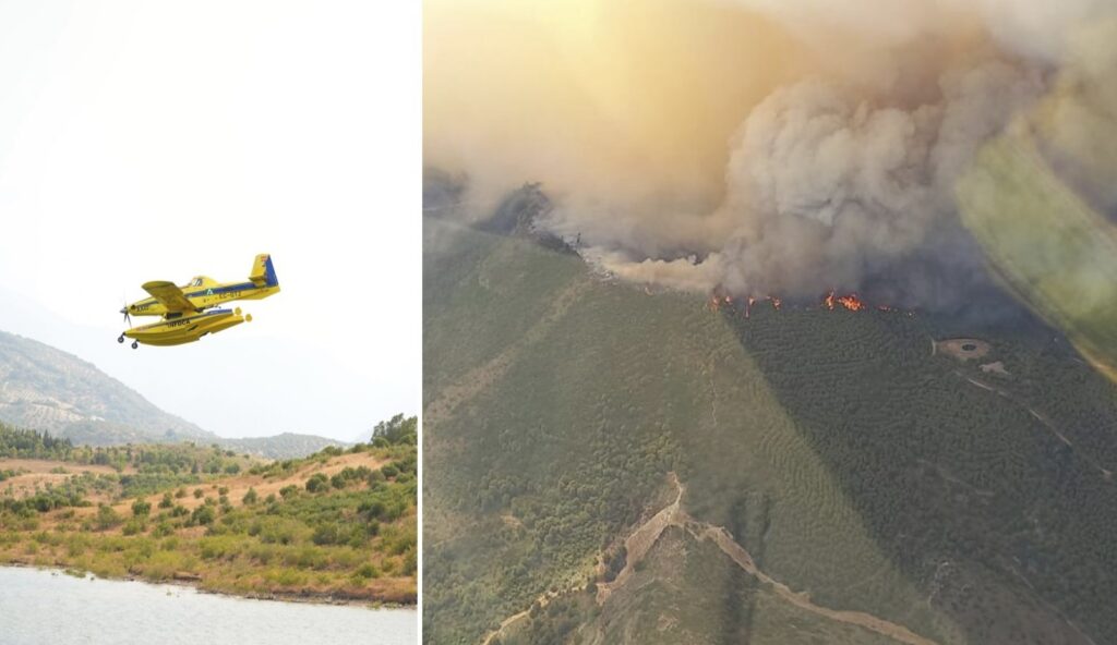 188 people forced out as forest fire strikes Grazalema, near Ronda