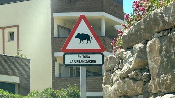 Sign warning against wild boars
