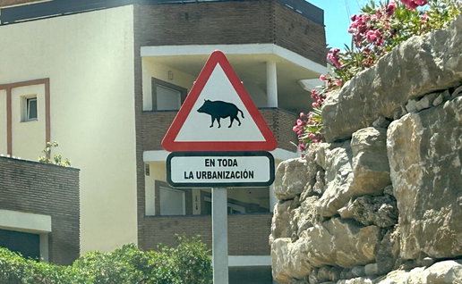 Sign warning against wild boars