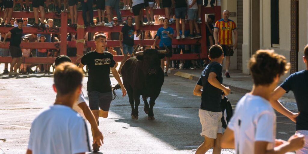 Government allocates €700,000 for Valencia’s bull-running festivals