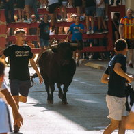 €700,000 in funding for bull-running festivals