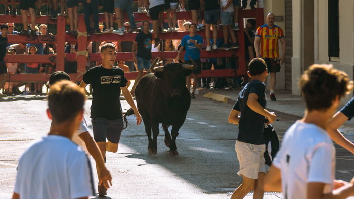 €700,000 in funding for bull-running festivals
