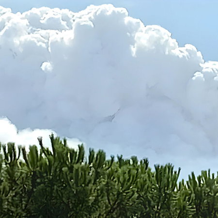 Pyro cloud forming over Avila fire.