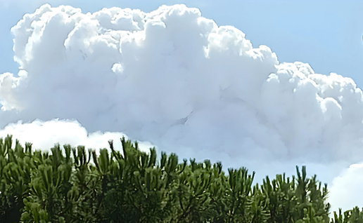 Pyro cloud forming over Avila fire.