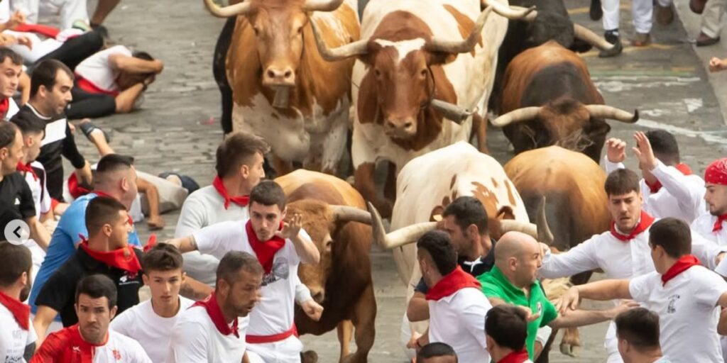 Panic in Pamplona: One person gored and 12 injured during San Fermín bull run
