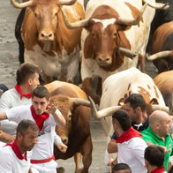 Runner gored in the face as San Fermín bull run descends into chaos in Pamplona