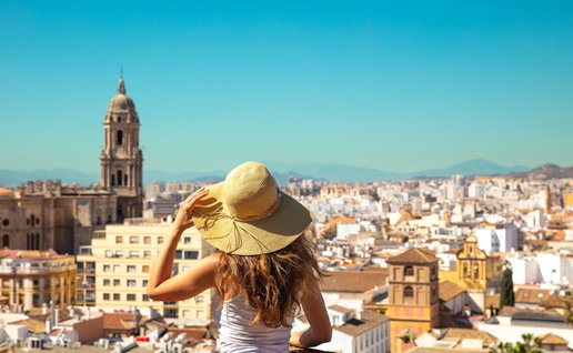 Panoramic view of Malaga city