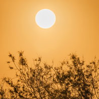 The sun shining through the thick Calima in the sky