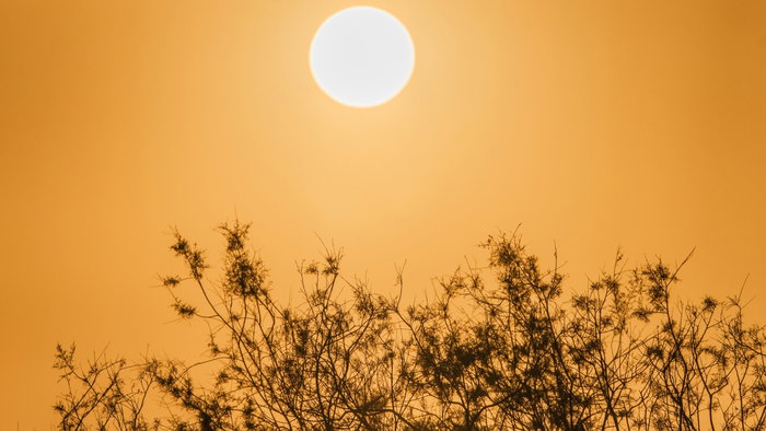 The sun shining through the thick Calima in the sky