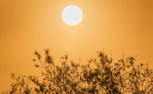 The sun shining through the thick Calima in the sky